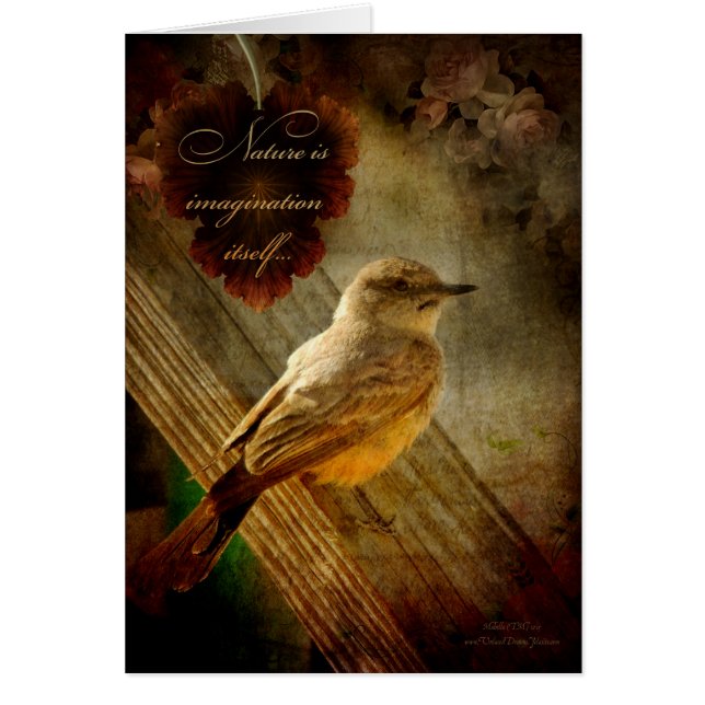 Natuur is verbeelding (Voorkant)