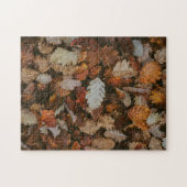 Natuur Jigzaag Puzzle Autumn Jigzaag Puzzle Extrem Legpuzzel (Horizontaal)