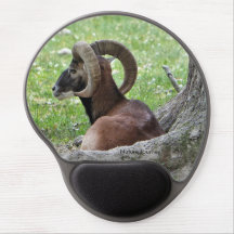 Natuur Journey Ram Muismat