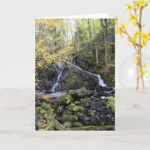 Natuur Kaart (Gele Bloem)