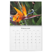 Natuur kalender (Feb 2026)