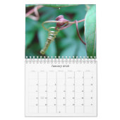 Natuur Kalender (Jan 2026)