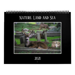 Natuur: Kalender voor land en Zee 2021