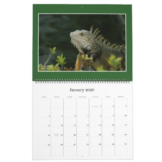 Natuur: Kalender voor land en Zee 2021 (Jan 2026)