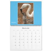 Natuur: Kalender voor land en Zee 2021 (Mar 2026)