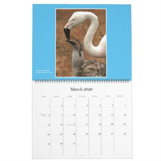 Natuur: Kalender voor land en Zee 2021 (Mar 2026)