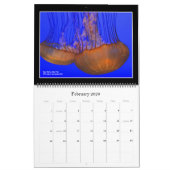 Natuur: Kalender voor land en Zee 2021 (Feb 2026)