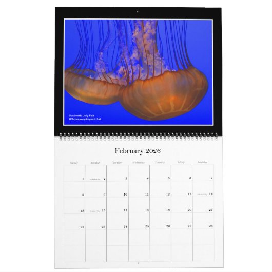 Natuur: Kalender voor land en Zee 2021 (Feb 2026)