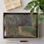 natuur kattentissuepapier tissuepapier (Geschenk)