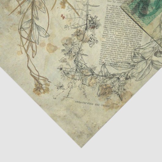 Natuur - Kleurstofpapier Tissuepapier (Detail)