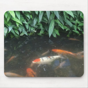 Natuur Koi Fishing in Pond Design Muismat