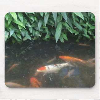 Natuur Koi Fishing in Pond Design Muismat