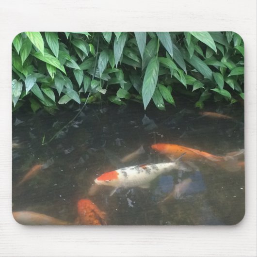 Natuur Koi Fishing in Pond Design Muismat (Voorkant)