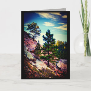 natuur kunst bergpijnbomen foto kunst blank kaart