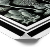 Natuur Kunst "paddenstoelen" Poster 12 x 16 (Hoek)