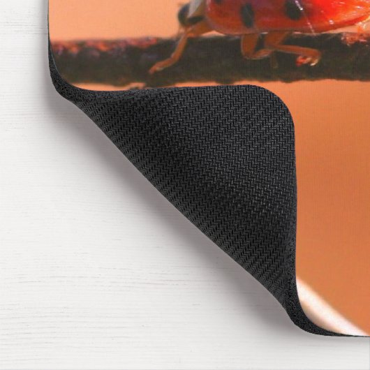 Natuur Ladybug Buddies Muismat (Hoek)