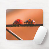 Natuur Ladybug Buddies Muismat (Met muis)