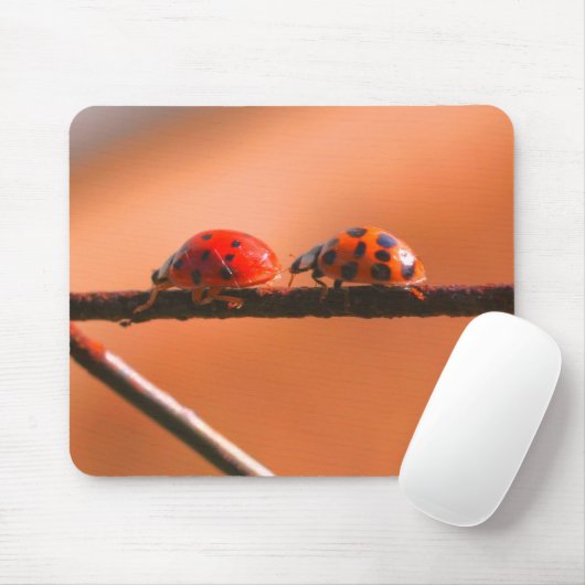 Natuur Ladybug Buddies Muismat (Met muis)