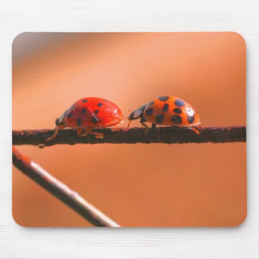 Natuur Ladybug Buddies Muismat (Voorkant)