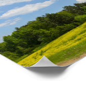 Natuur Landschap Canola Field Rural Belarus Poster (Hoek)