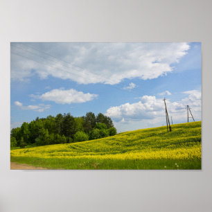 Natuur Landschap Canola Field Rural Belarus Poster