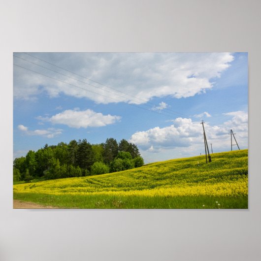 Natuur Landschap Canola Field Rural Belarus Poster (Voorkant)