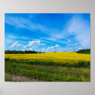 Natuur Landschap Canola Field Rural Belarus Poster