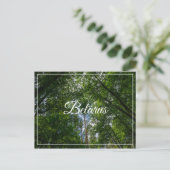 Natuur Landschap Forest Belarus Briefkaart (Staand voorkant)