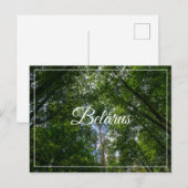 Natuur Landschap Forest Belarus Briefkaart (Voorkant / Achterkant)