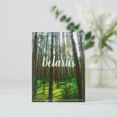 Natuur Landschap Forest Belarus Briefkaart (Staand voorkant)