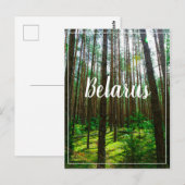 Natuur Landschap Forest Belarus Briefkaart (Voorkant / Achterkant)