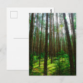 Natuur Landschap Forest Belarus Briefkaart (Voorkant / Achterkant)