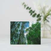 Natuur Landschap Forest Belarus Briefkaart (Staand voorkant)