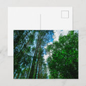 Natuur Landschap Forest Belarus Briefkaart (Voorkant / Achterkant)