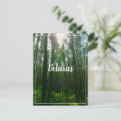 Natuur Landschap Forest Belarus Briefkaart (Staand voorkant)
