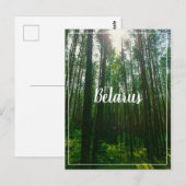 Natuur Landschap Forest Belarus Briefkaart (Voorkant / Achterkant)
