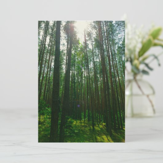 Natuur Landschap Forest Belarus Flat Kaart (Staand voorkant)