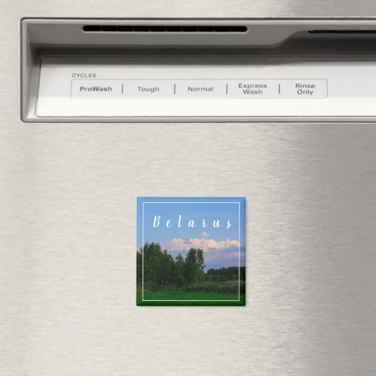 Natuur Landschap Forest Belarus Magnet (Insitu (Vaatwasser))