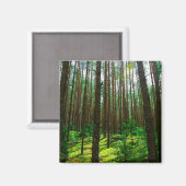 Natuur Landschap Forest Belarus Magnet (Voorkant / Achterkant)