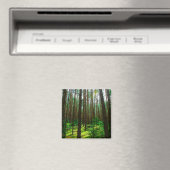 Natuur Landschap Forest Belarus Magnet (Insitu (Vaatwasser))