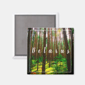 Natuur Landschap Forest Belarus Magnet (Voorkant / Achterkant)