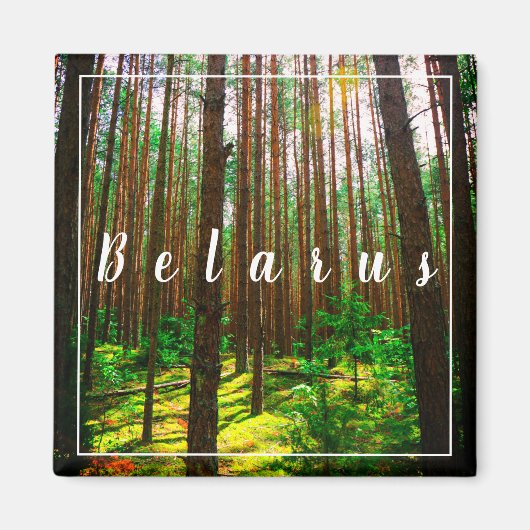 Natuur Landschap Forest Belarus Magnet (Voorkant)