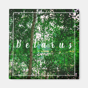 Natuur Landschap Forest Belarus Magnet