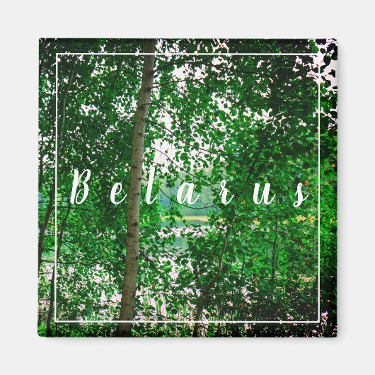 Natuur Landschap Forest Belarus Magnet (Voorkant)