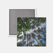 Natuur Landschap Forest Belarus Magnet (Voorkant / Achterkant)