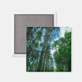 Natuur Landschap Forest Belarus Magnet (Voorkant / Achterkant)
