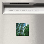 Natuur Landschap Forest Belarus Magnet (Insitu (Vaatwasser))