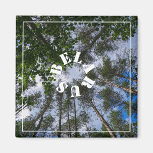 Natuur Landschap Forest Belarus Magnet