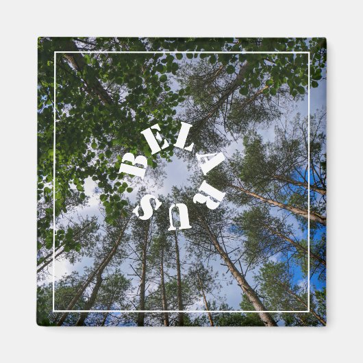 Natuur Landschap Forest Belarus Magnet (Voorkant)