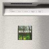 Natuur Landschap Forest Belarus Magnet (Insitu (Vaatwasser))